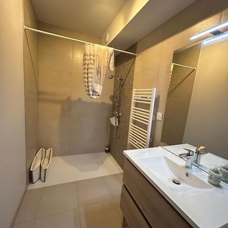 Appartement Avec Jardin Chateauneuf-de-Galaure Εξωτερικό φωτογραφία