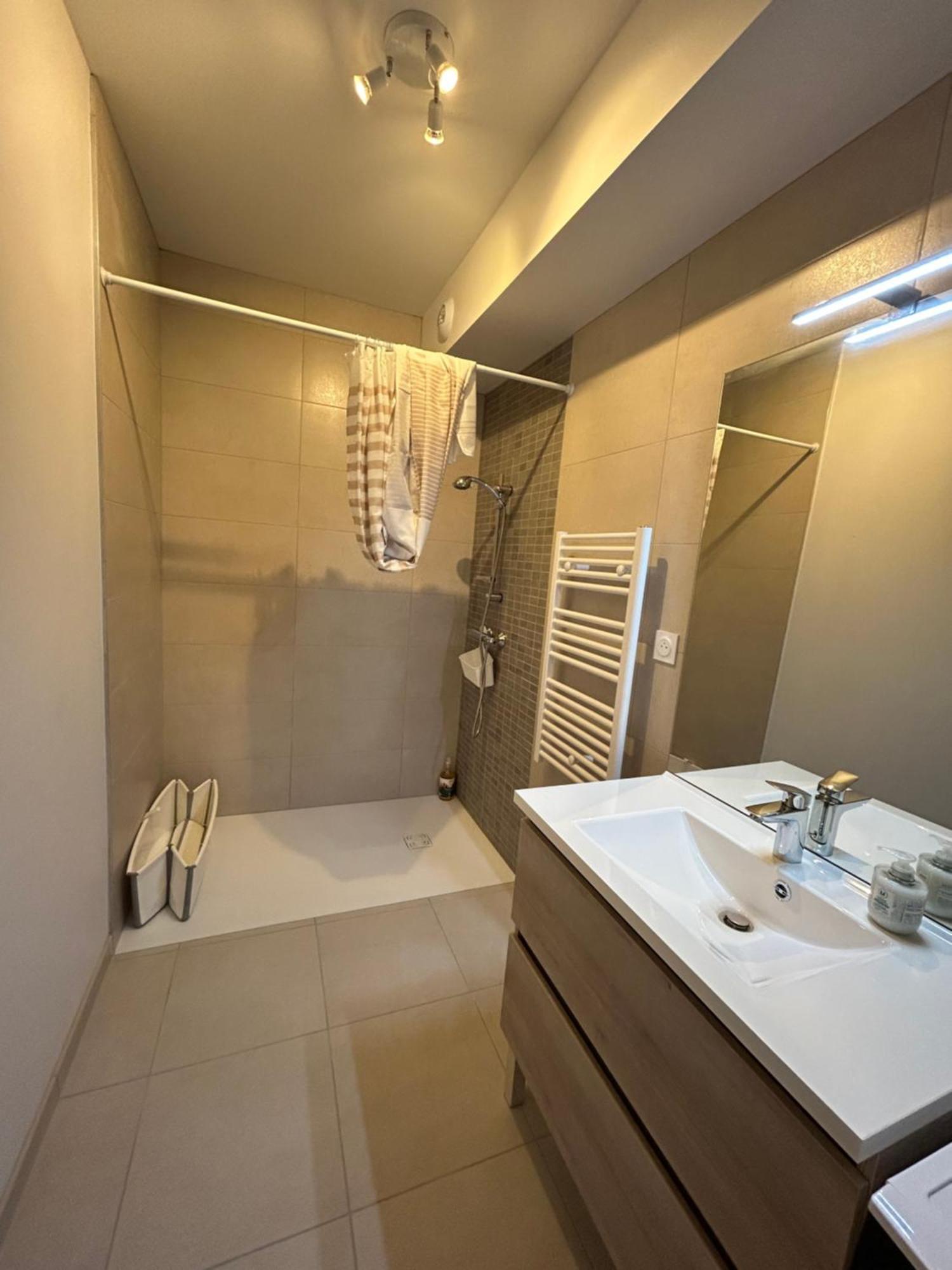Appartement Avec Jardin Chateauneuf-de-Galaure Εξωτερικό φωτογραφία